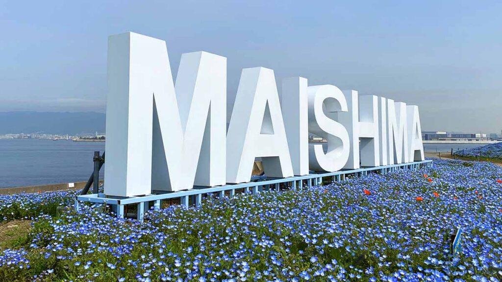 ネモフィラ舞洲