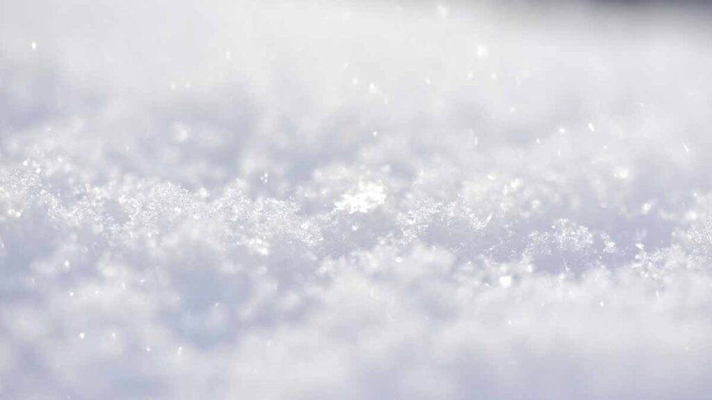 スノーフレーク