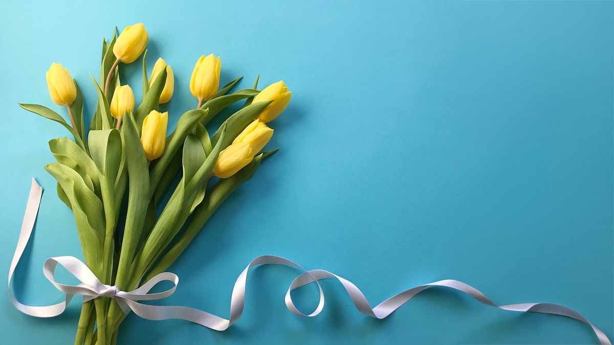 黄色いチューリップ